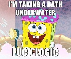 **** Logic Bathtub