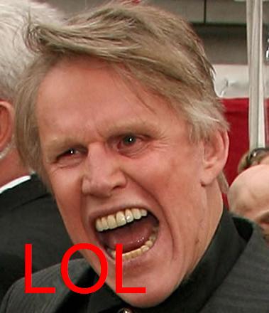 Beware+the+Busey+_96002f17e08e5668cfcbaf4f46330664.jpg