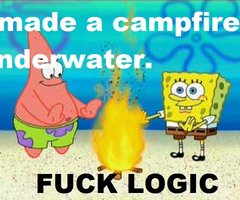 **** Logic Campfire