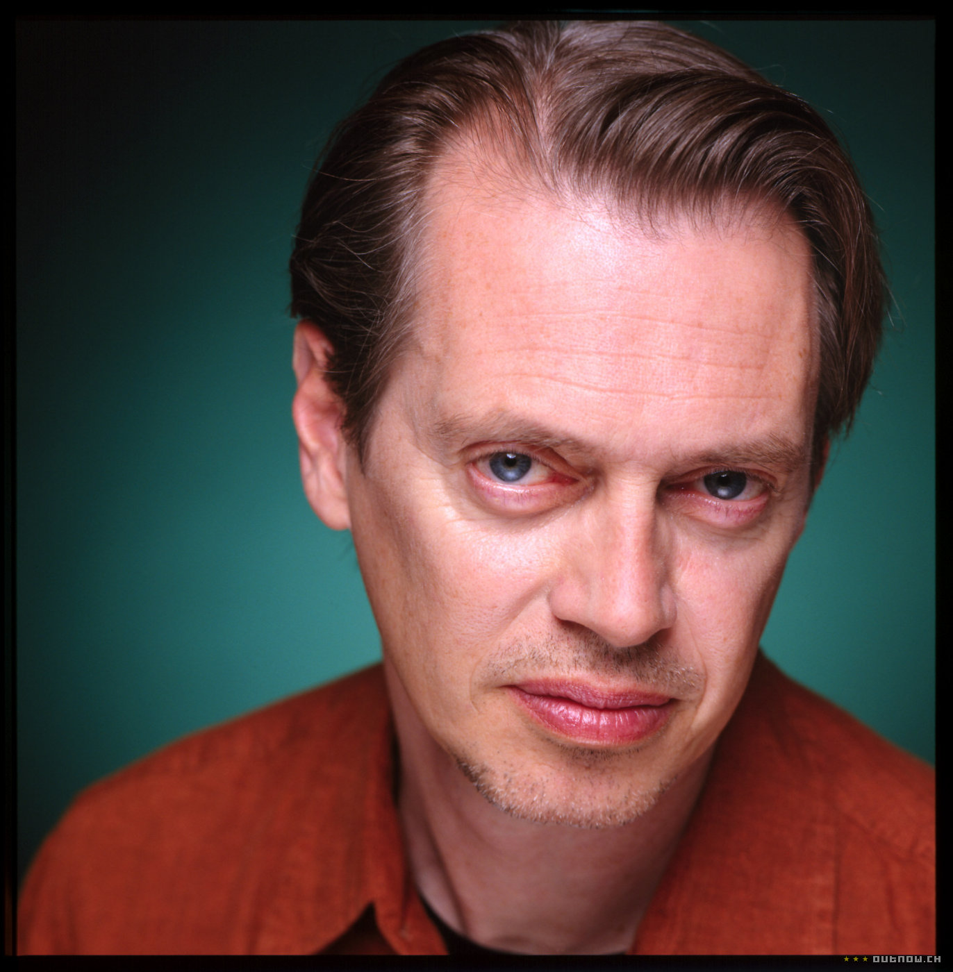 Not+sure+if+supposed+to+be+steve+buscemi+or+not+_99309ea9a4406dfa2f3f9748eff86cbb.jpg