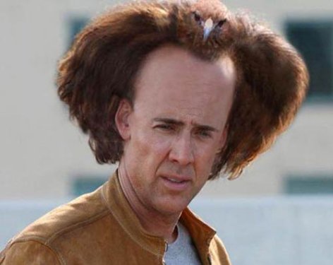 Chat v2 - Page 4 Or+will+Nicholas+Cage+s+hair+become+a+bird+_722910acdee25c3d5534a1168c3920eb