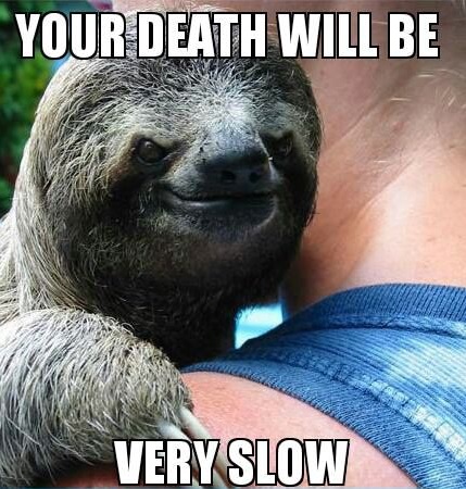 The+sloth+is+pretty+badass+it+s+even+a+d