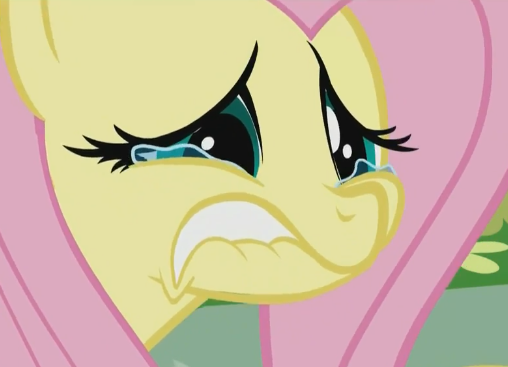 [Bild: You%2Bhave%2Bmade%2BFluttershy%2Bcry.%2B...3363a4.png]