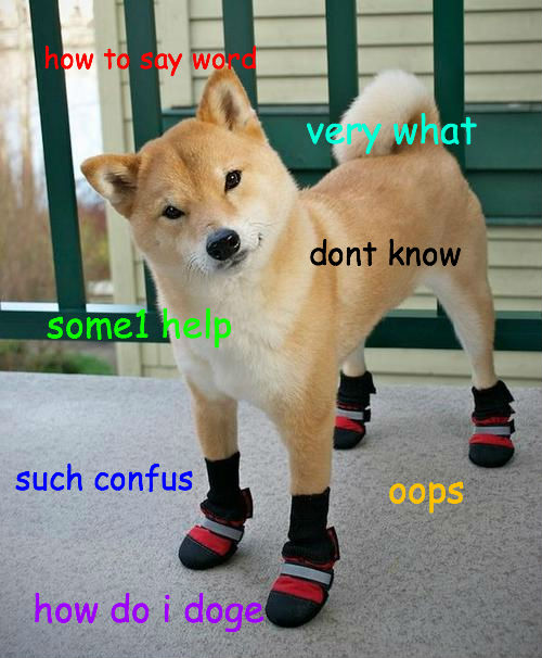 mfw+I+still+don+t+know+whether+it+s+pronounced+quot+doge+quot+with+_fa3c9d7573bcdb8e007091c44da6697a.jpg