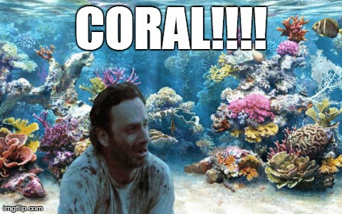 Coral+first+post_22fba6_5216412.gif