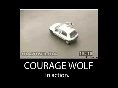 Courage Wolf Awesome