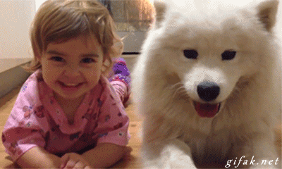 Cutest+gif+ever+the+wink+makes+it+seem+like+they_6e30b3_5136831.gif