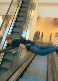 Darwinism+wins+again..+I+thought+planking+died_2cef39_4048519.gif
