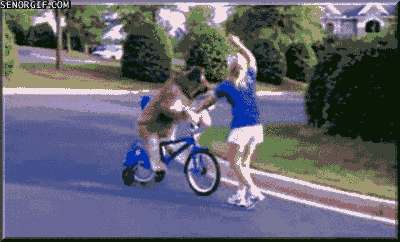Dog+riding+a+bicycle.+I+HAVE+NEVER+SEEN+A+MORE_baca61_3711193.gif