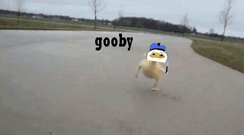 Dolan+duck_28e476_3852910.gif