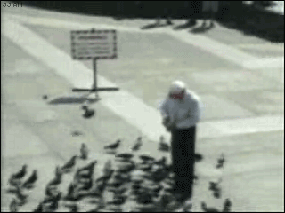 Don_834b68_1267113.gif