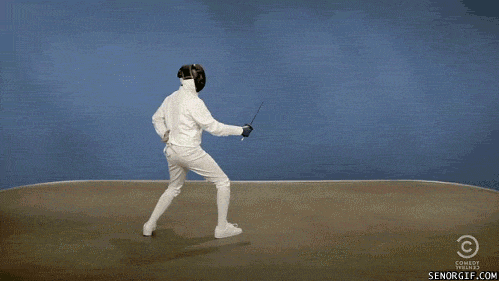 Extreme+Fencing.+Anyone+else+want+to+see+someone+try+this_fc9370_3780145.gif