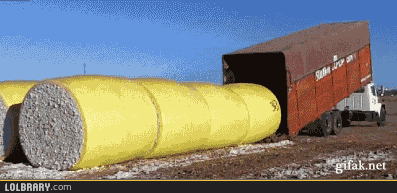 Giant+twinkies.+somewhere+in+russia_d68712_4524273.gif
