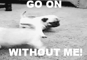 Go_621a47_2127674.gif