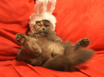 Happy+easter+how+i+plan+on+spending+my+easter+and_c6756c_5106227.gif