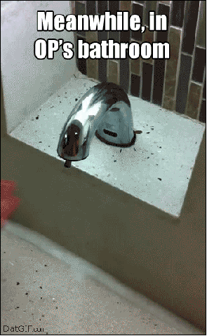 [Image: Meanwhile+in+ops+bathroom_32cbc2_3876194.gif]