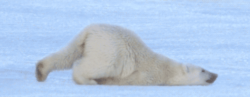 Moving+slowly+towards+the+heart+of+all+you+funnyjunkers_d703b1_4858038.gif