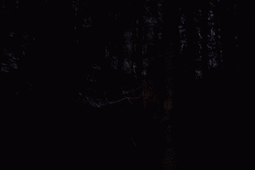 Not+OP+but+had+to+share_4e6586_4704531.gif