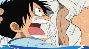 One+piece+feels+montage_4e8d7a_4786661.gif