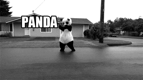 Panda. My titles are so creative Found on the internet.