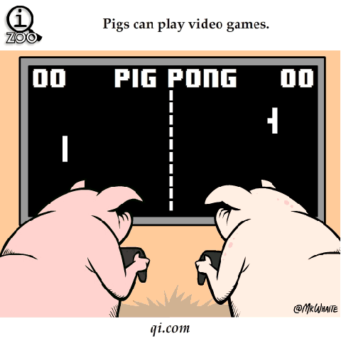 Pig+Pong_118875_4837694.gif