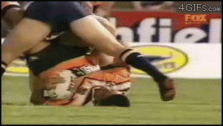 Rugby_377334_2883084.gif