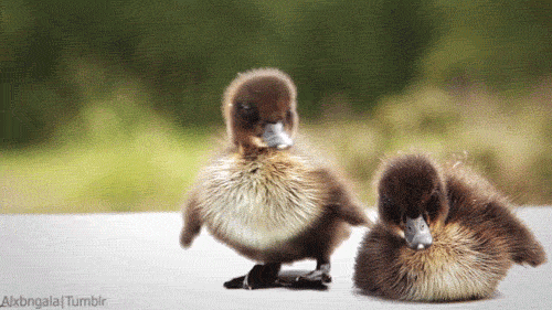 Shiver_7746d9_4955010.gif