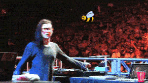 Skrillex+attacked+by+a+bee.+Silly+skrilly_052c5f_3057947.gif