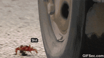 Smart+little+crab_674004_5319886.gif