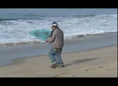 http://static.fjcdn.com/gifs/Sometimes+it+s+just+one+of+those+days_0f310a_4651206.gif