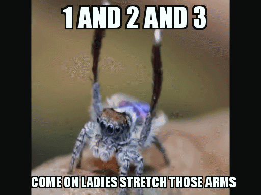 The+spider+lifts+moar+than+you_5414e7_4988575.gif