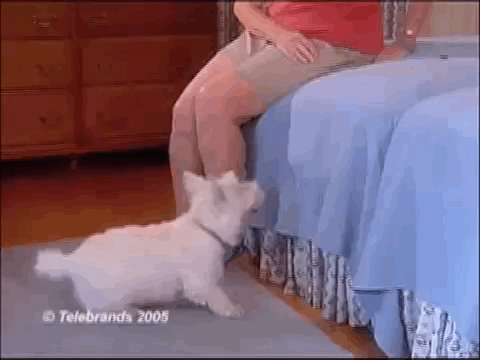 Infomercial - Dog Stairs