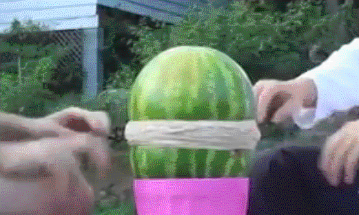 Watermelon+and+rubber+bands_39def1_5273775.gif