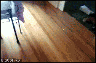 http://static.fjcdn.com/gifs/We+are+cruel+cruel+people+But+its+funny.+Please+join_2b9d9c_4613386.gif