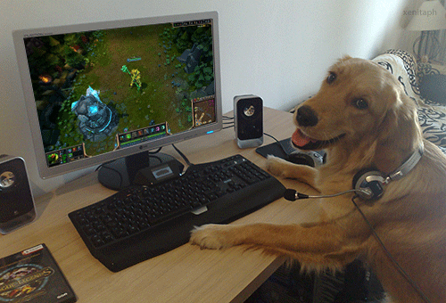 Yes I'm a dog, yes i play video games. .. Suddenly a Teemo arrived