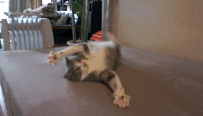 You+have+cat+to+be+kitten+me+right+meow..+Cat_3f67d7_4638174.gif