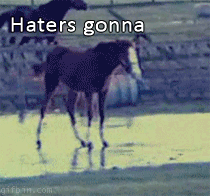 haters gonna.... 