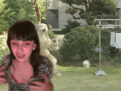 jessi_2d4341_1085022.gif