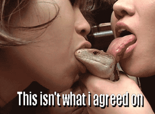 random+gif.+teh+description+click+for+detail+i+lied+no+description+lol_c0baf5_4303551.gif