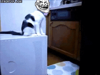 http://static.fjcdn.com/gifs/troll_80edb0_2842203.gif