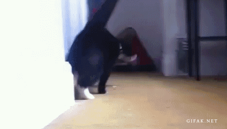 trying+to+sneak+out+of+bed.+and+the+girlfriend+catches_0754ee_4282962.gif