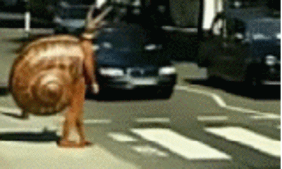 http://static.fjcdn.com/gifs/why+did+the+snail+cross+the+road+.+It+doesn+t+know_c4a910_4135744.gif