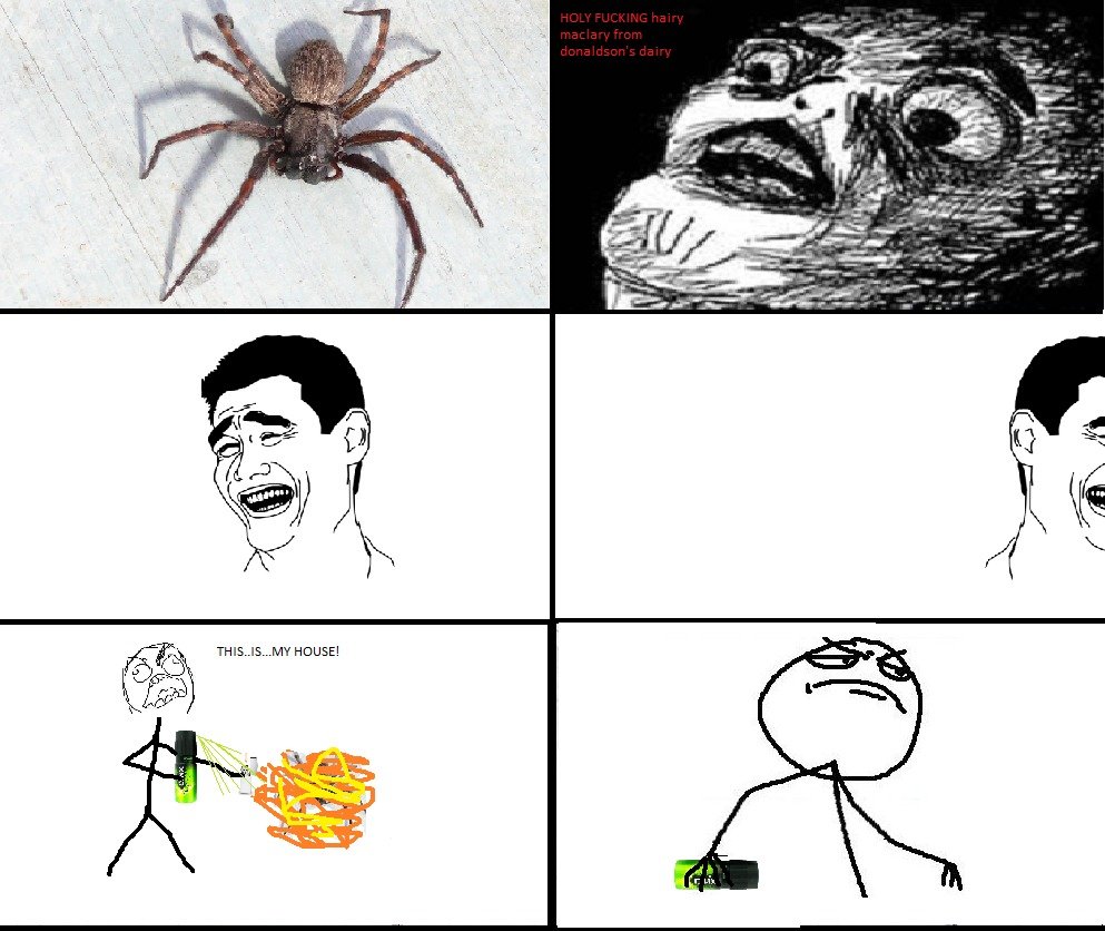 i hate spiders