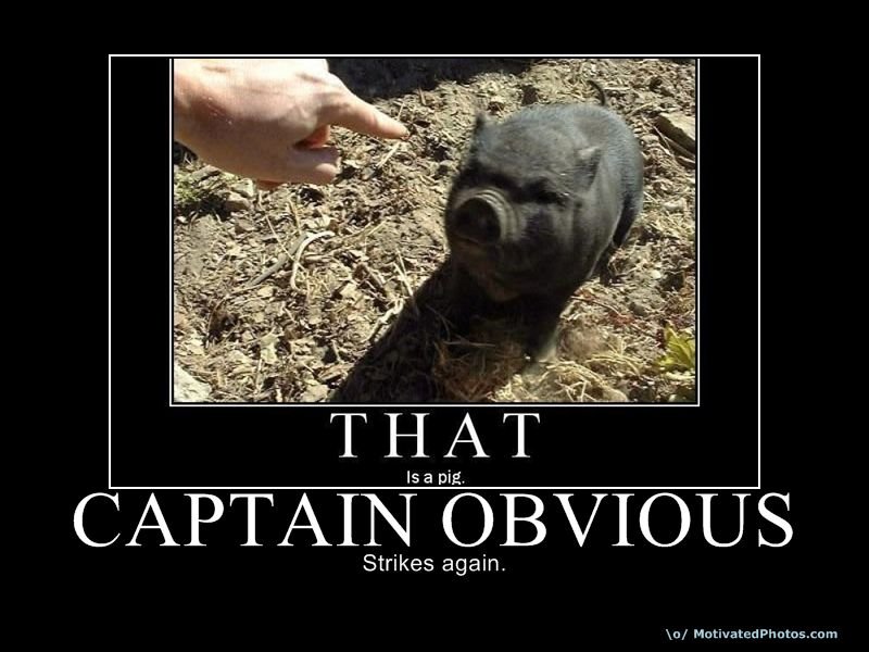 Captain Pig