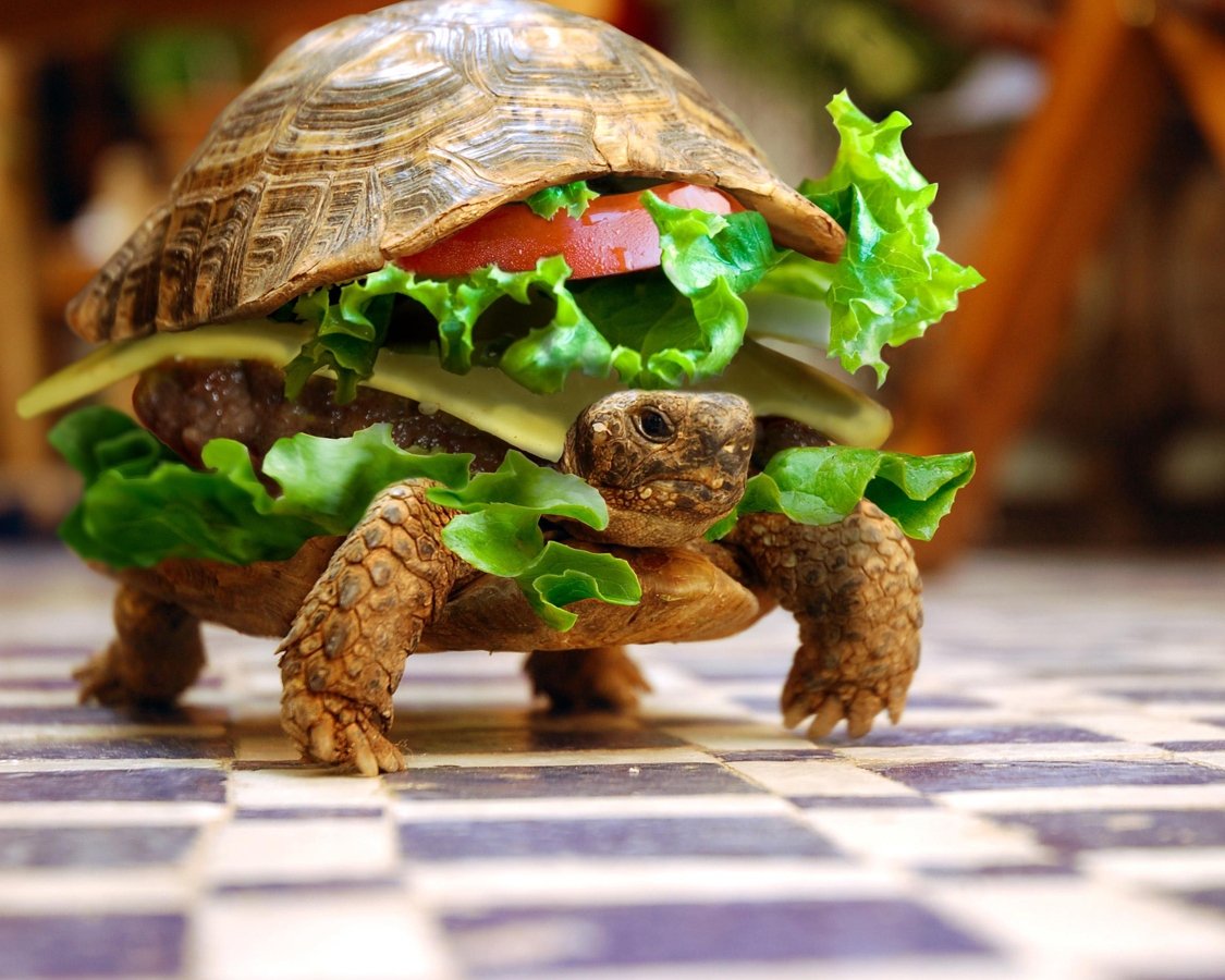 om nom turtle