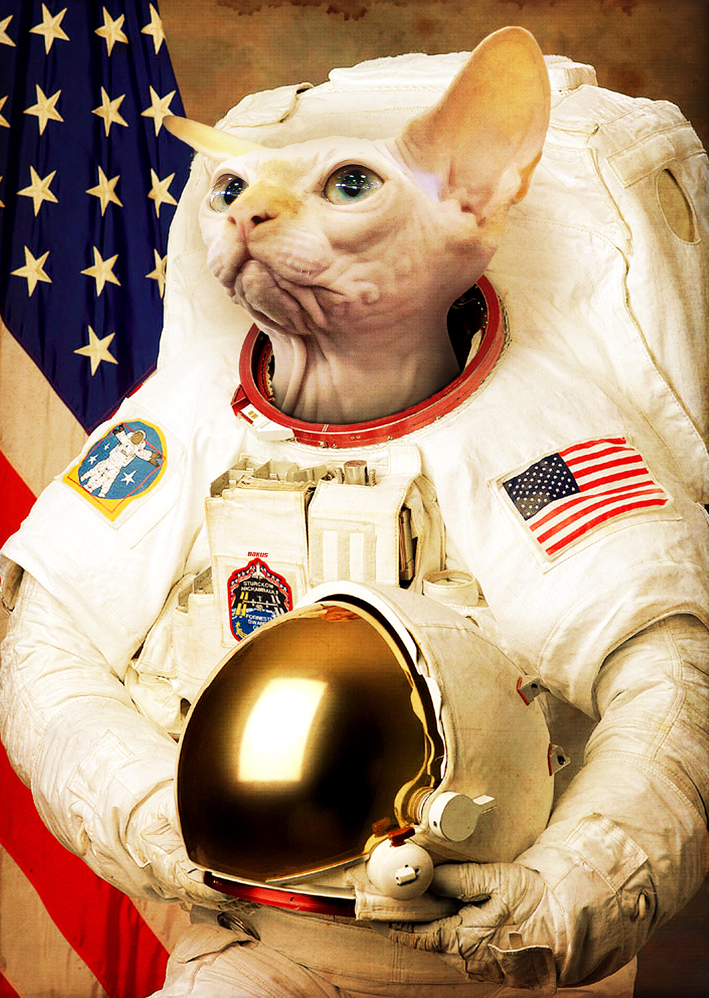 astronaut cat squishmallow