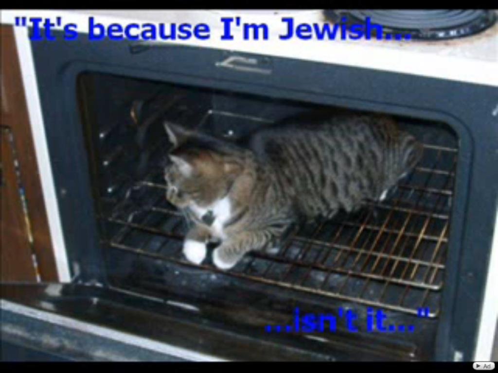Jewish Cat