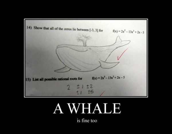 whale lol