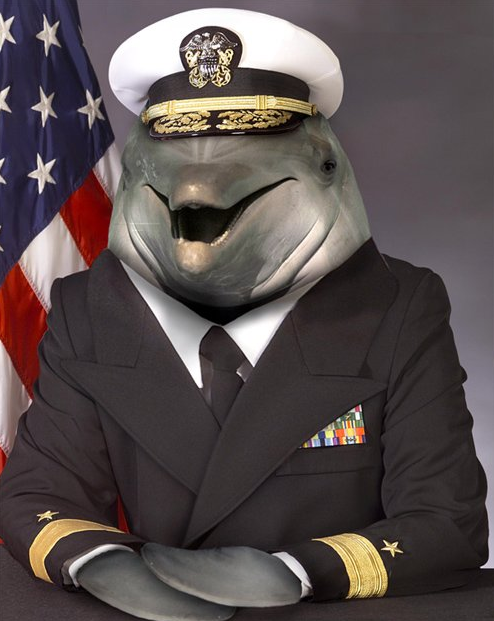 Admiral_e944b1_698453.png