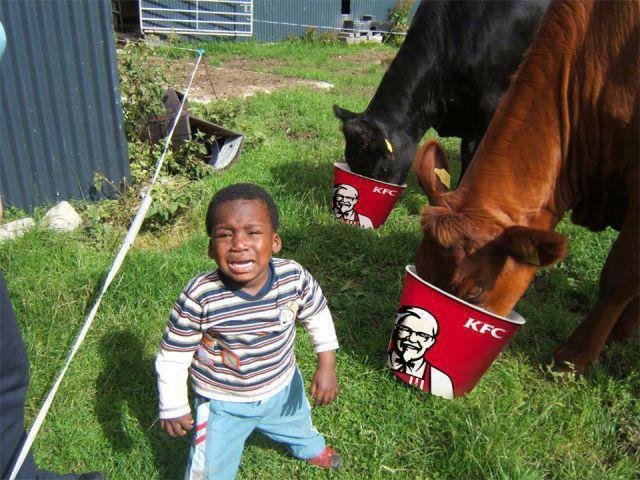 Black Kid Kfc